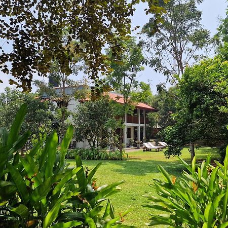Villa Arana بينتوتا المظهر الخارجي الصورة
