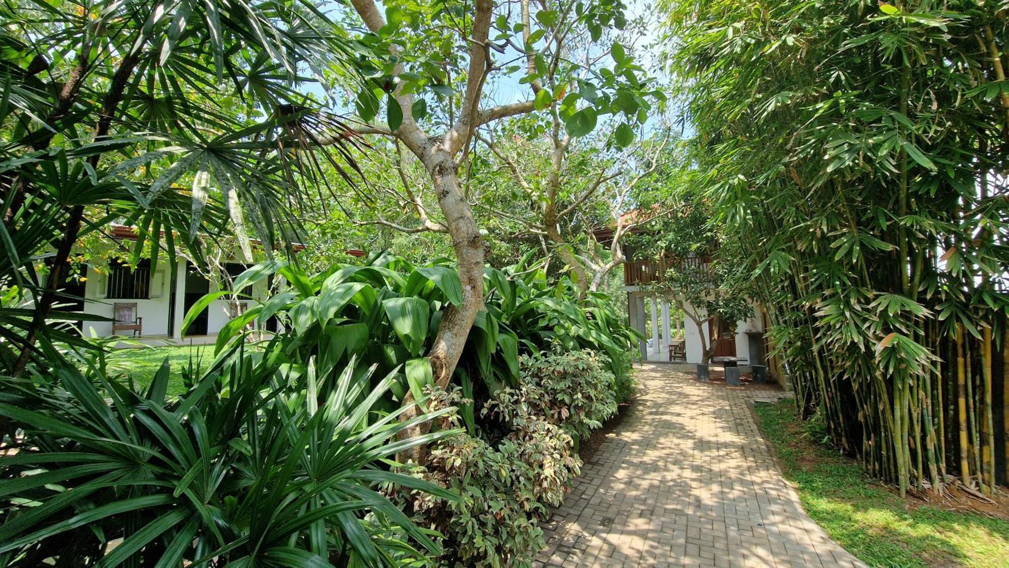 Villa Arana بينتوتا المظهر الخارجي الصورة
