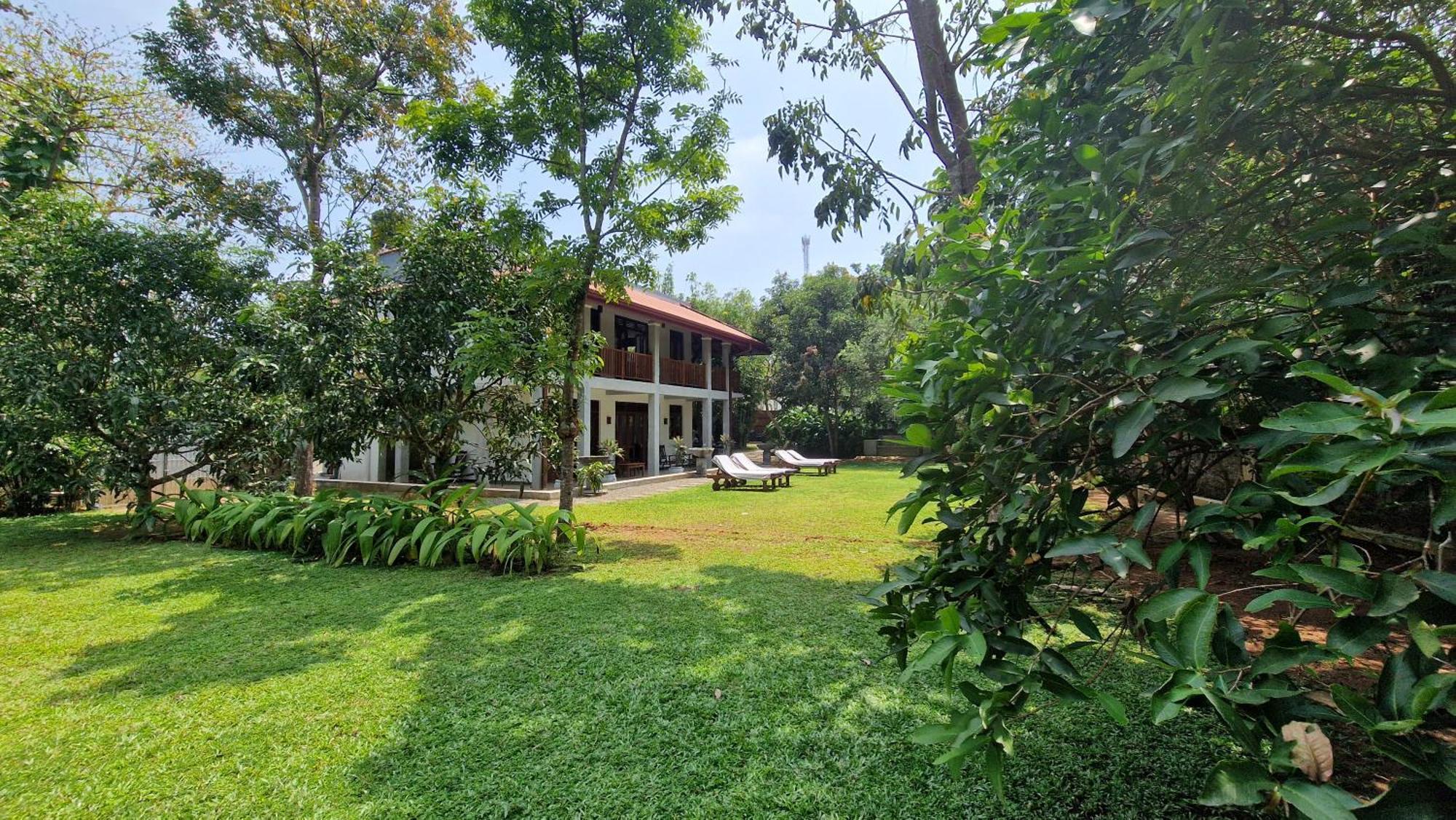 Villa Arana بينتوتا المظهر الخارجي الصورة