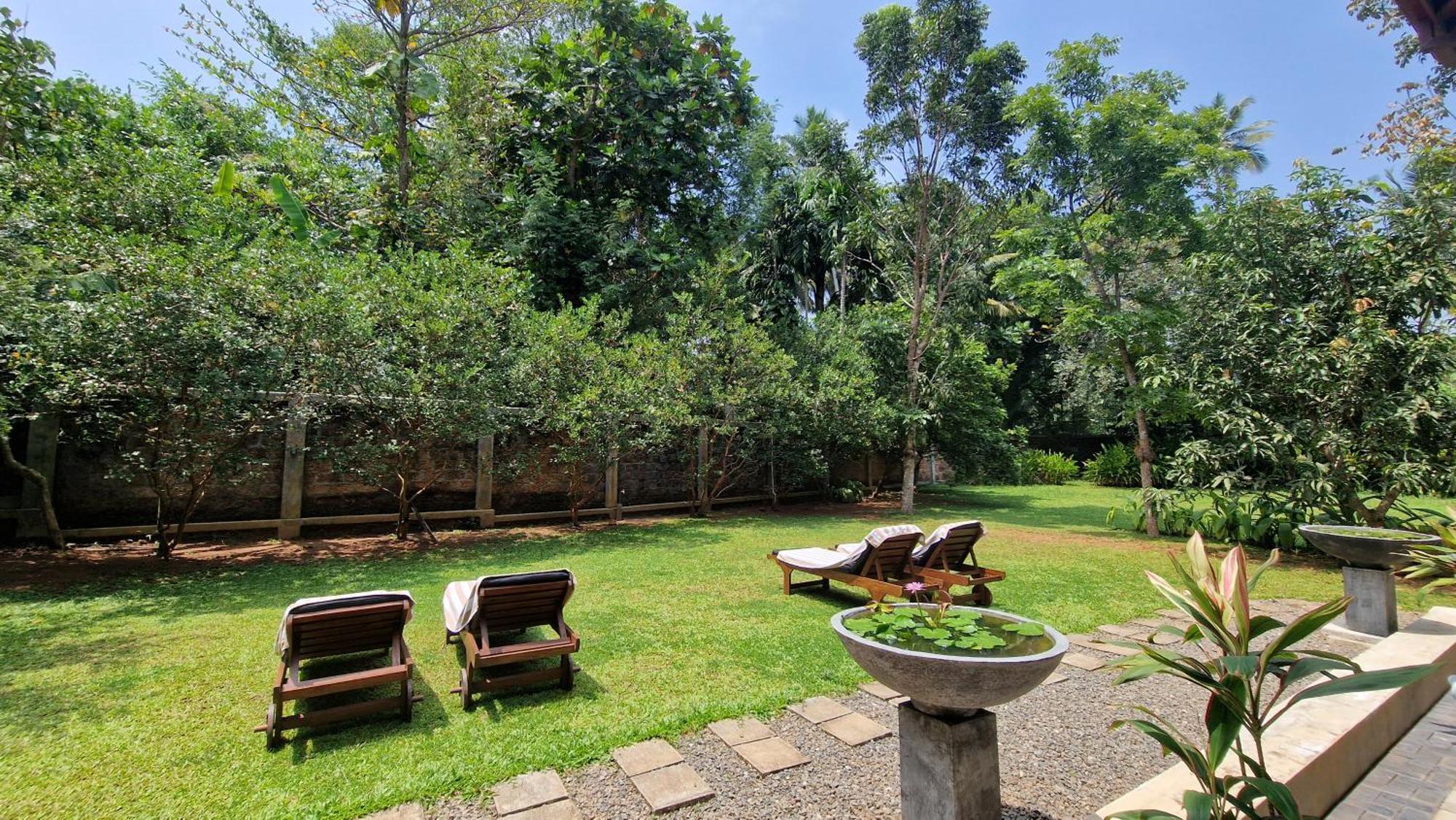 Villa Arana بينتوتا المظهر الخارجي الصورة